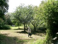 s_cimg9894.jpg